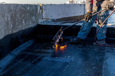 Consultants and Project Managers